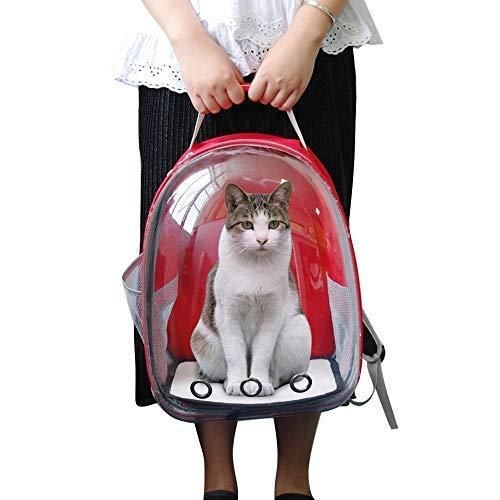 Pet Cat Carrying Bag Space Pet Backpacks Breathable Portable Transparent - Freddoz